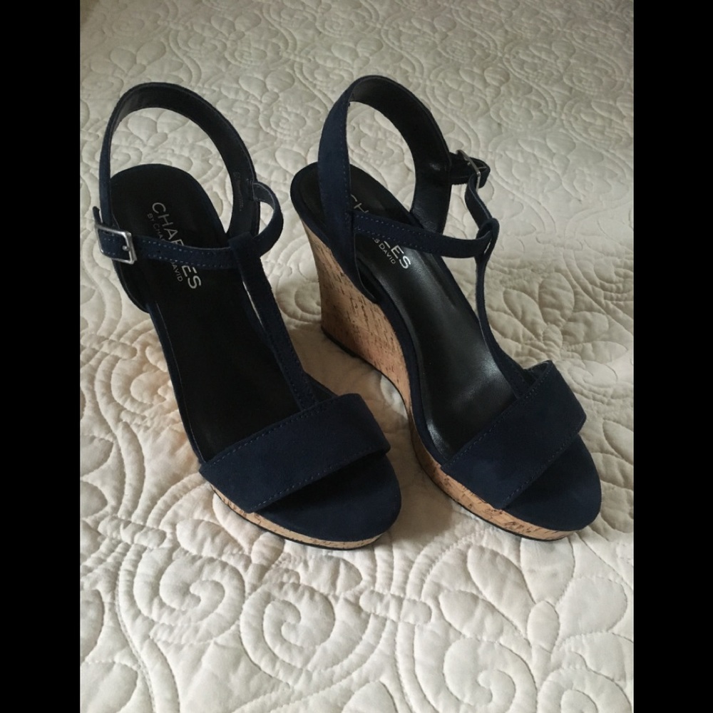 Charles by Charles David Navy Blue Wedges Size 5
